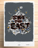 Limited Edition Print - Mt. Shred