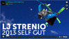 LJ Strenio 2013 Self Edit