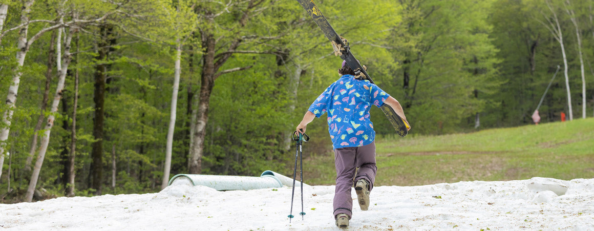 Aloha Party Collection