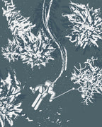 Limited Edition Print - Powderbird