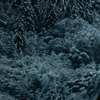 Night Frost Baselayer Shirt