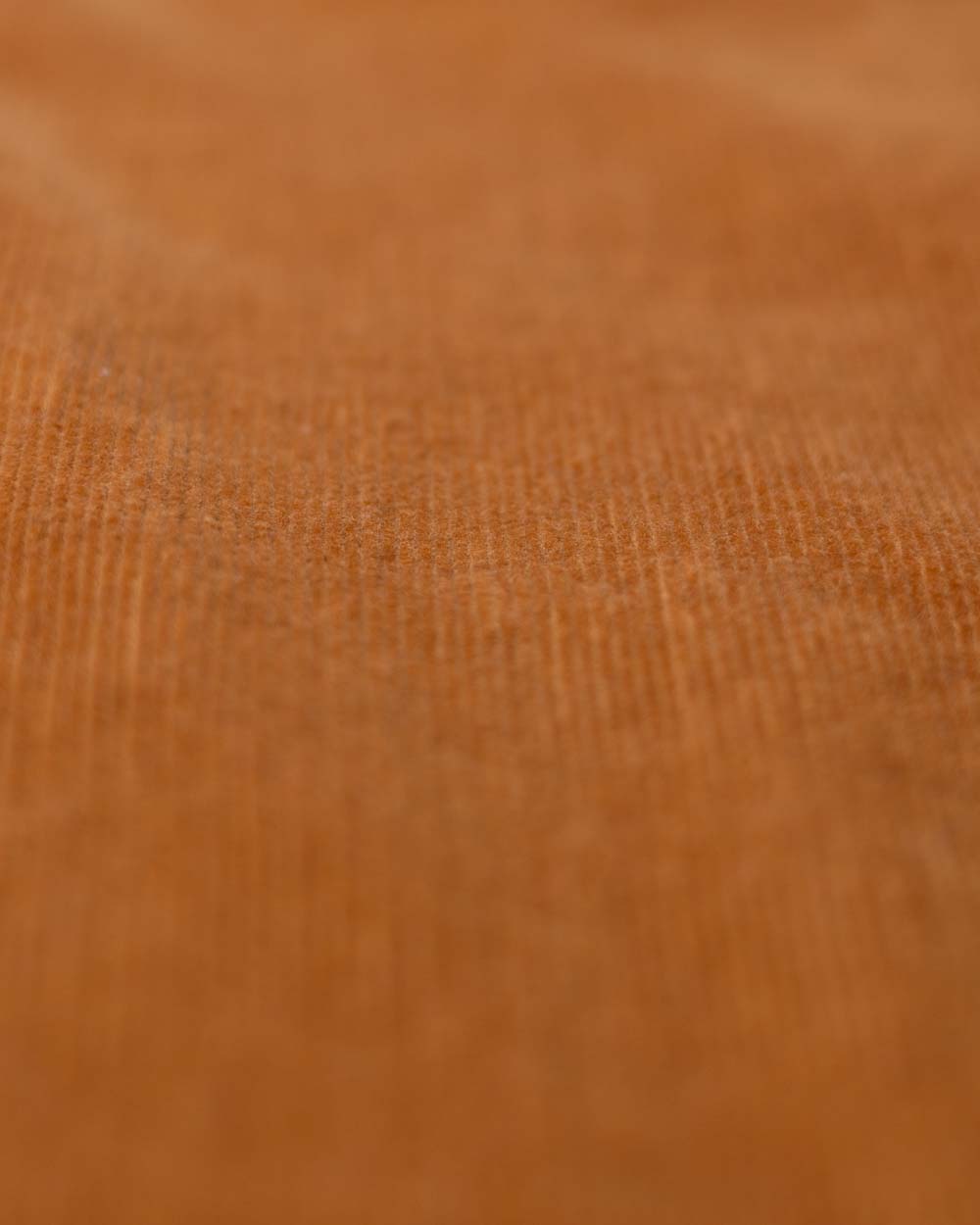 Cat Tracks Corduroy Shirt - Bark