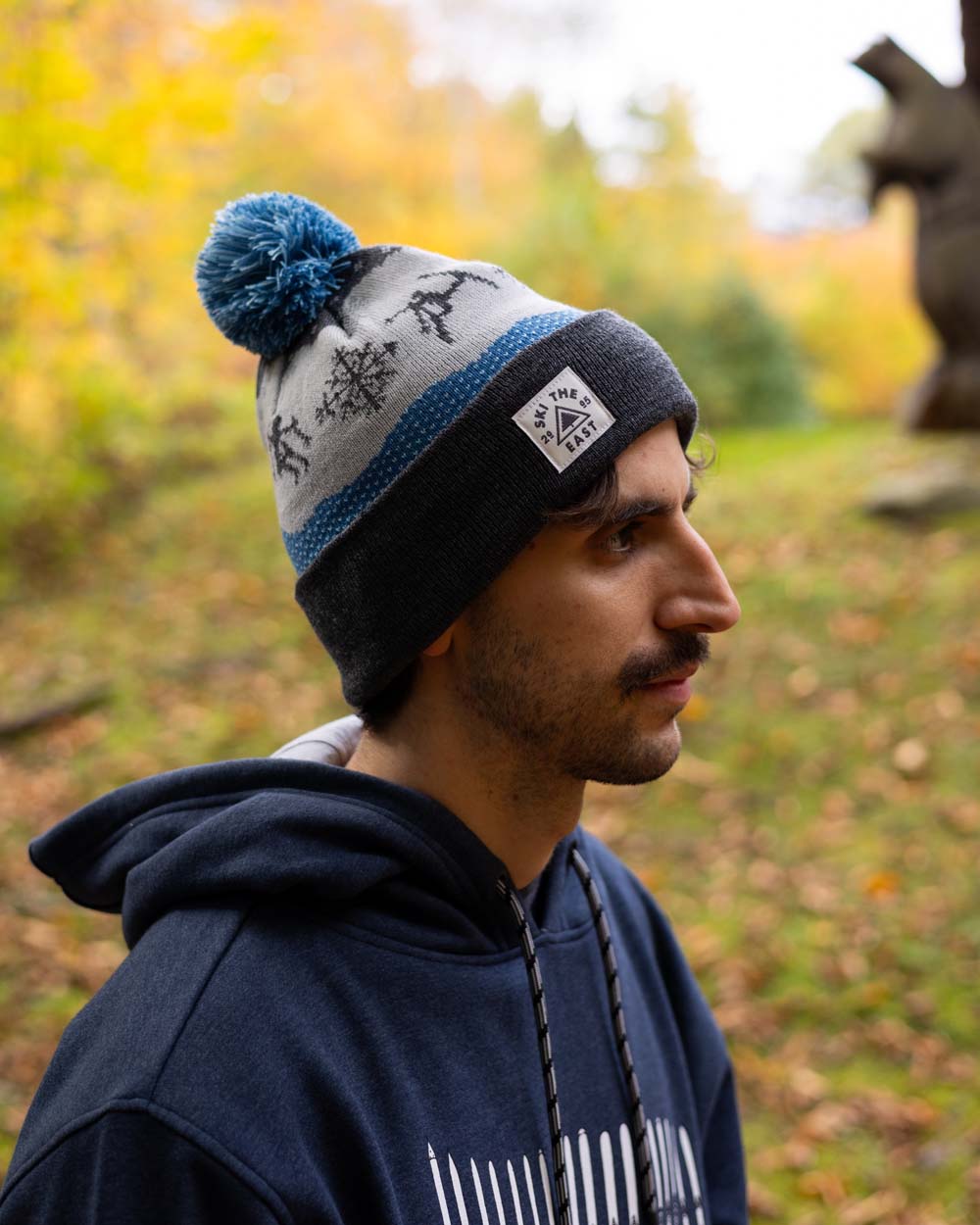 Altitude Pom Beanie - Mountain Frost