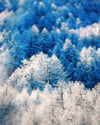 Ultra R.A.D Headwear - Mountain Frost