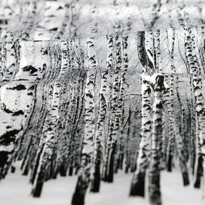 Ultra R.A.D. Headwear - Birch